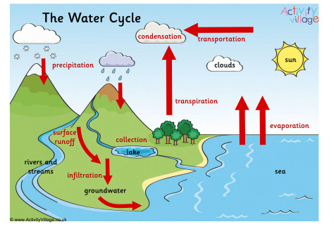 Aggregate more than 124 draw diagram of water cycle best